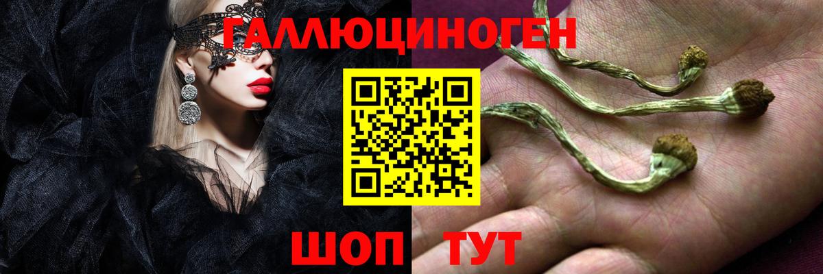 Галлюциногенные грибы прущие грибы Камышин